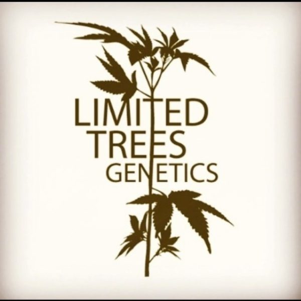 Limited Trees Genetics image